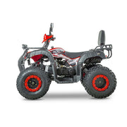 ATV benzină RDB AW200, 180cc, 4 timpi, 60km/h – imagine 6