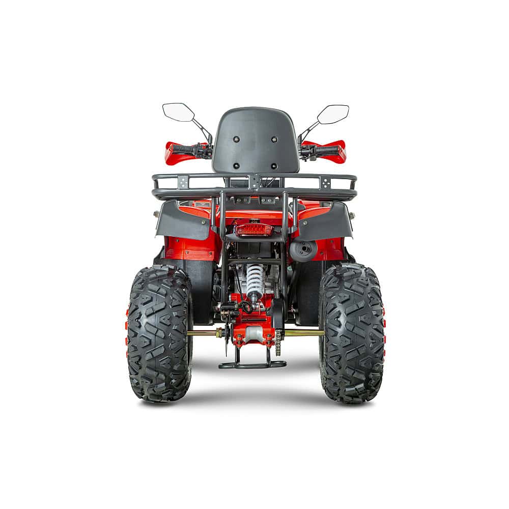 ATV benzină RDB AW200, 180cc, 4 timpi, 60km/h – imagine 8