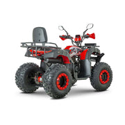 ATV benzină RDB AW200, 180cc, 4 timpi, 60km/h – imagine 9