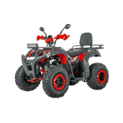 ATV benzină RDB AW200, 180cc, 4 timpi, 60km/h