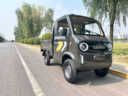 Mașină electrică fără permis Everati Pickup CT03, 3000W, 25km/h – imagine 7