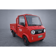 Mașină electrică fără permis RDB F-Klass, 1000W, 25km/h – imagine 2