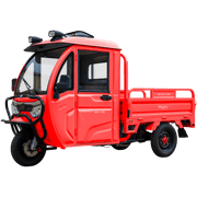 Triciclu electric cargo fără permis SKYJET Sky Van cu cabină, 3000W, 25km/h