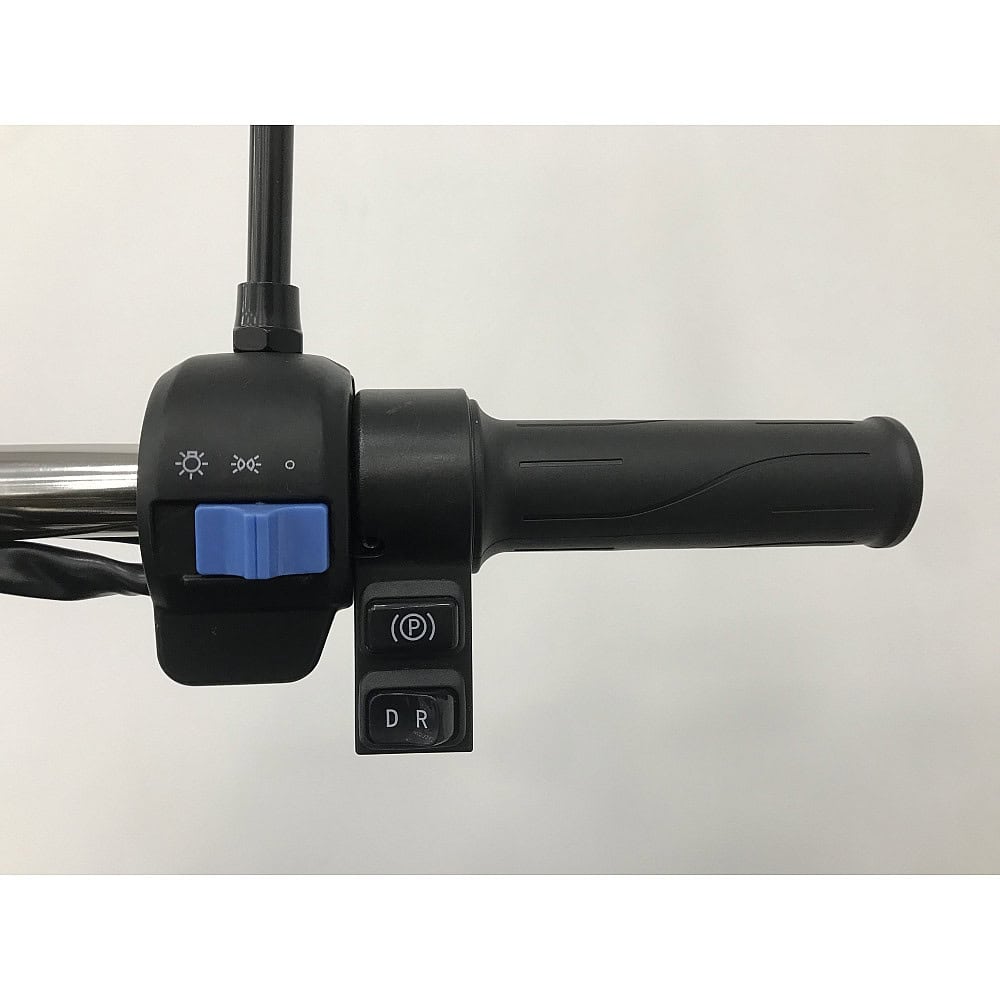 Triciclu electric fără permis RDB L-Klass4, 1350W, 25kmh – imagine 22