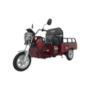 Triciclu electric fără permis RDB L-Klass4, 1350W, 25kmh