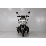Triciclu electric fără permis RDB Mini, 2000W, 25km/h – imagine 6