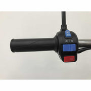 Triciclu electric fără permis RDB XL-Klass4 Hidraulic, 4000W, 25km/h – imagine 22