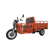 Triciclu electric fără permis RDB XL-Klass4 Hidraulic, 4000W, 25km/h